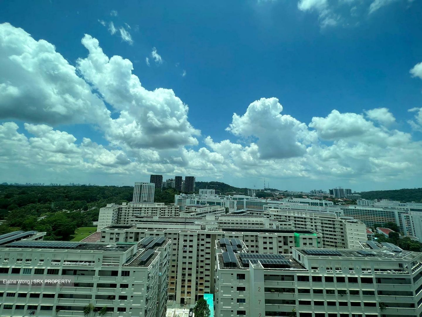 Chestervale (D23), Condominium #349898881